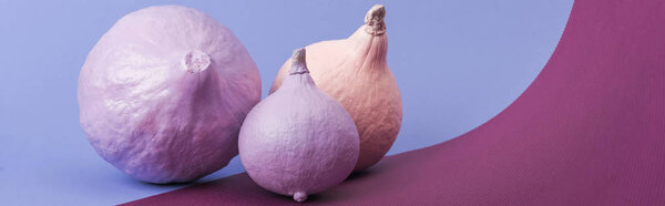 panoramic shot of pastel colorful painted pumpkins on violet and purple background