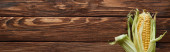panoramatický záběr čerstvé kukuřice na dřevěné povrchy s prostorem pro kopírování