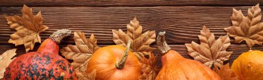panoramic shot of pumpkins on brown wooden surface with dried autumn leaves clipart
