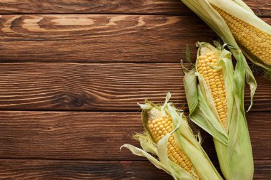 top view of fresh corn on wooden surface clipart