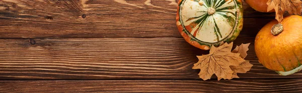 Panoramic Shot Small Fresh Pumpkins Brown Wooden Surface Dry Leaves — Stock Photo, Image