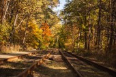 železnice v malebném podzimním lese se zlatým listím na slunci
