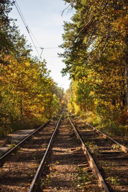 railway in scenic autumnal forest with golden foliage in sunlight clipart