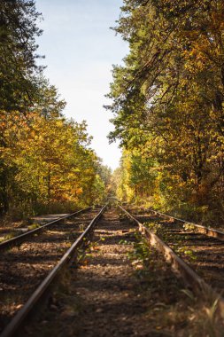 railway in scenic autumnal forest with golden foliage in sunlight clipart