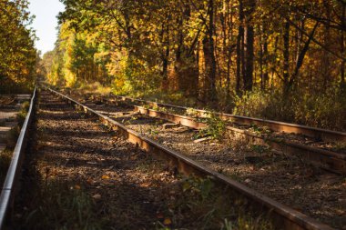 railway in autumnal forest with golden foliage in sunlight clipart