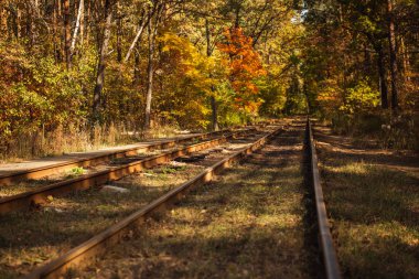 railway in autumnal forest with golden foliage in sunlight clipart