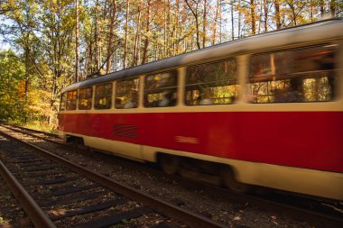 motion blur of tram with passengers on railway in autumnal forest with golden foliage in sunlight