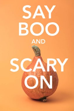 ripe Halloween pumpkin on orange background with say boo and scary on illustration clipart