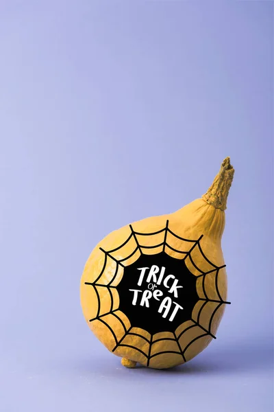 yellow colorful painted pumpkin with trick or treat and spiderweb illustration on violet background