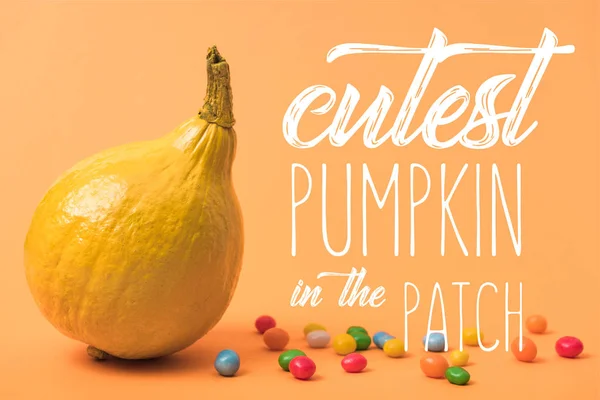 Geel Kleurrijk Geschilderde Pompoen Met Snoepjes Oranje Achtergrond Met Schattigste — Stockfoto