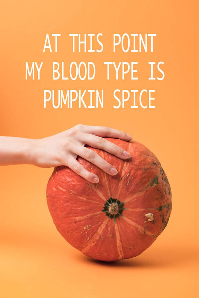 partial view of woman touching pumpkin on orange background with at this point my blood type is pumpkin spice illustration