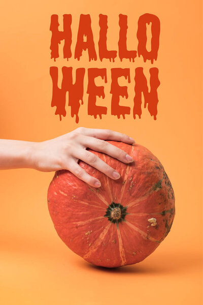 partial view of woman touching pumpkin on orange background with bloody Halloween lettering