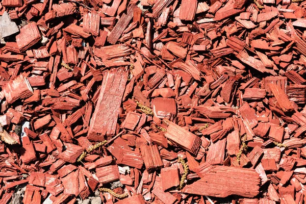 Vista de cerca del fondo de virutas de madera roja - foto de stock