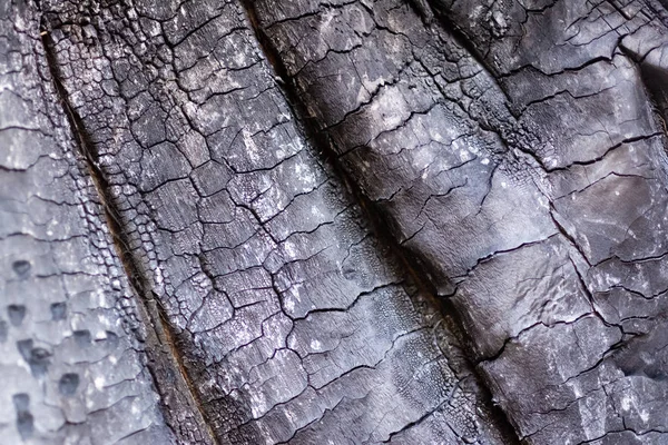 Close-up view of old burned wooden background — Stock Photo