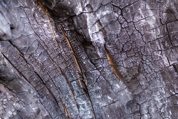 Close-up view of old dark burned wooden background — Stock Photo