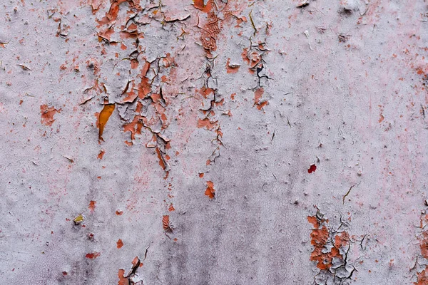Close-up view of old weathered grey texture — Stock Photo