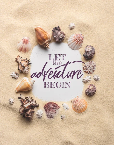 Frame of various seashells on sandy beach, let adventure begin inscription — Stock Photo