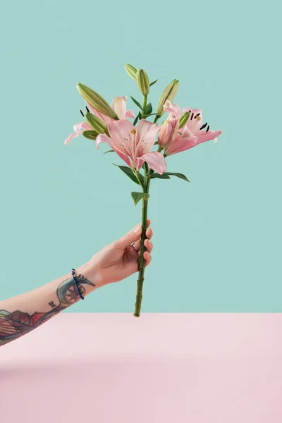 Abgeschnittene Ansicht tätowierter Hand mit rosa Lilienblüten — Stockfoto