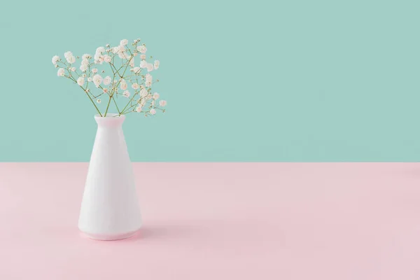 Vase with white tender flowers on pink and turquoise with copy space — Stock Photo