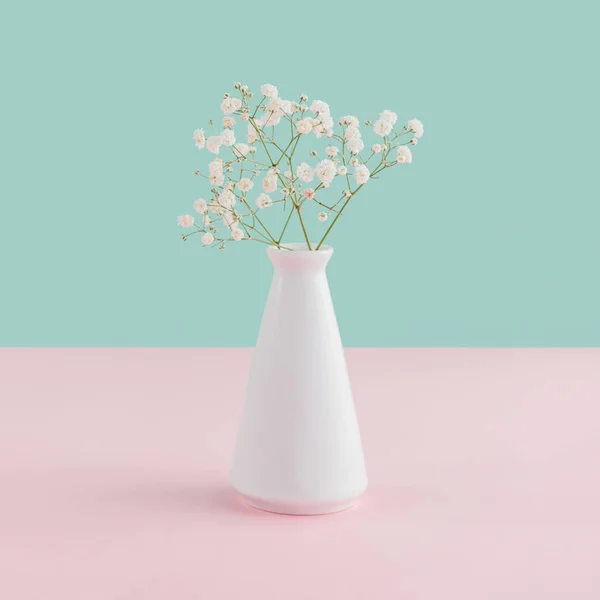 Jarrón blanco con flores tiernas sobre fondo pastel rosa y azul - foto de stock