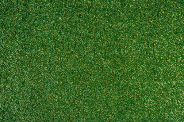 Full frame of green lawn as background — Stock Photo