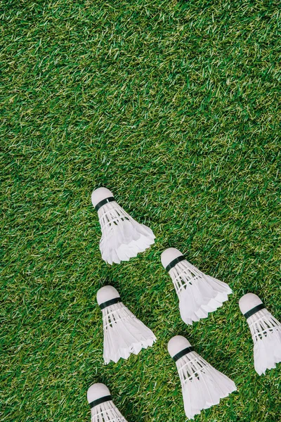 Вид зверху на білі човники для гри в бадмінтон, розташовані на зеленому газоні — стокове фото