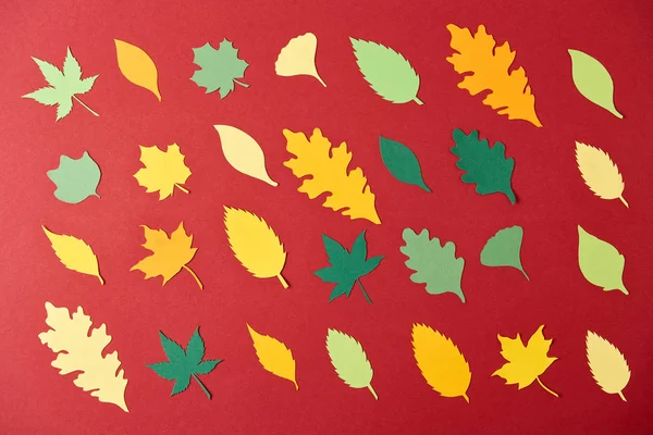 Flat lay com arranjo de folhas coloridas papercrafted no fundo vermelho — Fotografia de Stock