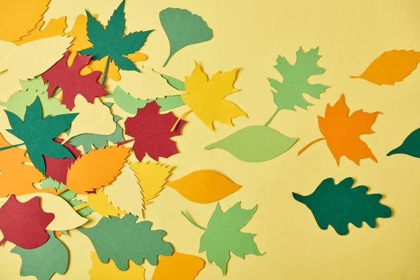 Plat couché avec du papier coloré feuillage arrangé sur fond jaune — Photo de stock