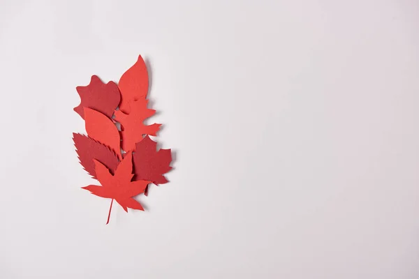 Top view of red papercrafted leaves arranged on white background — Stock Photo