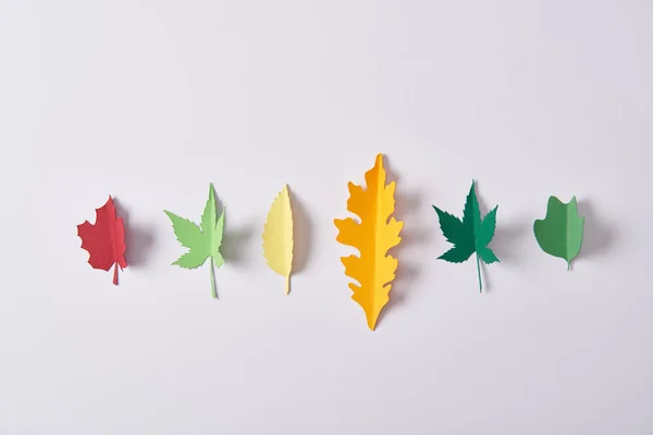 Vista superior de hojas coloridas hechas de papel dispuestas sobre fondo blanco - foto de stock