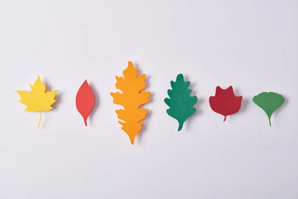 Vista superior de hojas coloridas hechas de papel dispuestas sobre fondo blanco - foto de stock