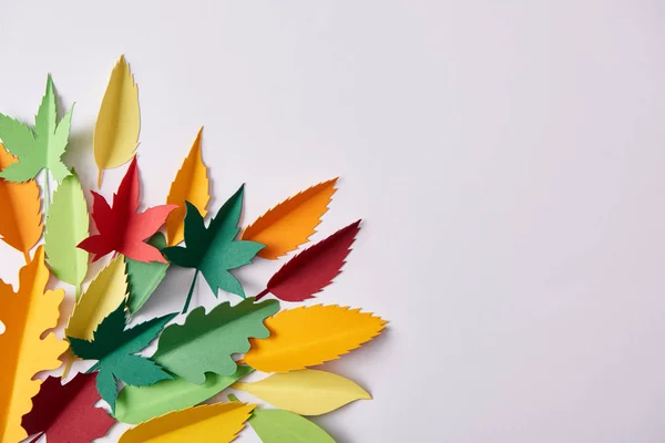 Disposición plana con follaje de papel hecho a mano colorido arreglado sobre fondo blanco - foto de stock