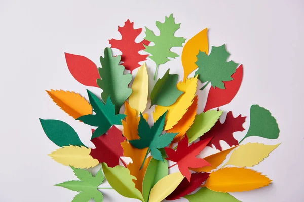 Flat lay with colorful handmade paper foliage arranged on white background — Stock Photo