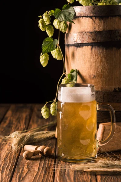 Glass with fresh beer, hop, wheat and wooden barrel at table on black background — Stock Photo