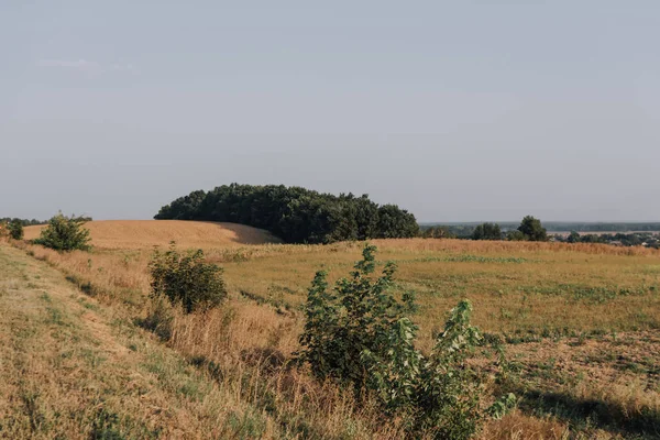 Vue panoramique avec champ rural et arbres pendant la journée — Photo de stock