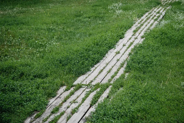 Sentier en planches de bois entouré d'herbe verte — Photo de stock