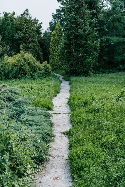 Trilha com várias plantas ao redor no parque — Fotografia de Stock