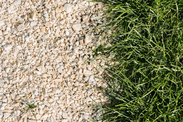 Draufsicht auf grünes Gras und Kieselsteine als Hintergrund — Stockfoto