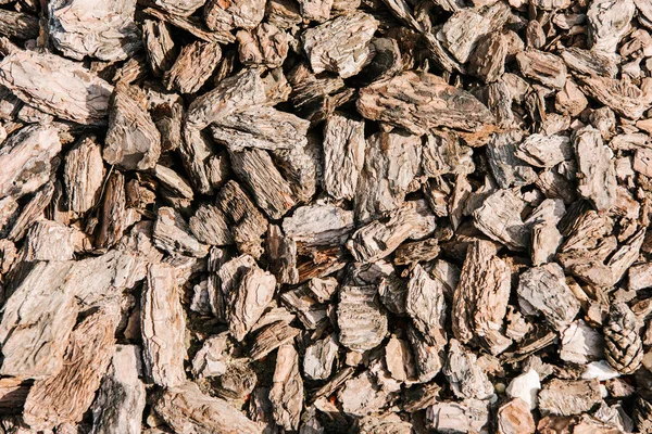 Full frame shot of pieces of wooden bark for background — Stock Photo