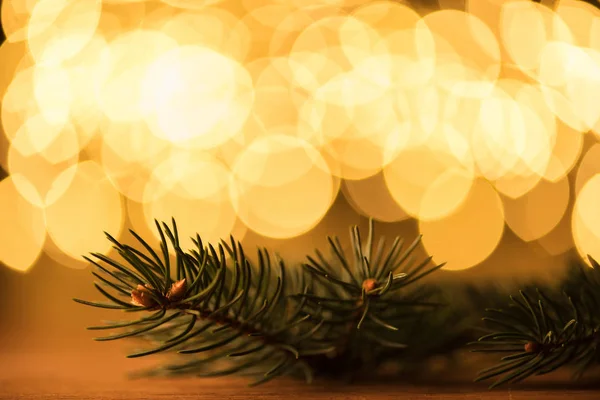Close up view of pine tree branch and golden bokeh lights backdrop — Stock Photo
