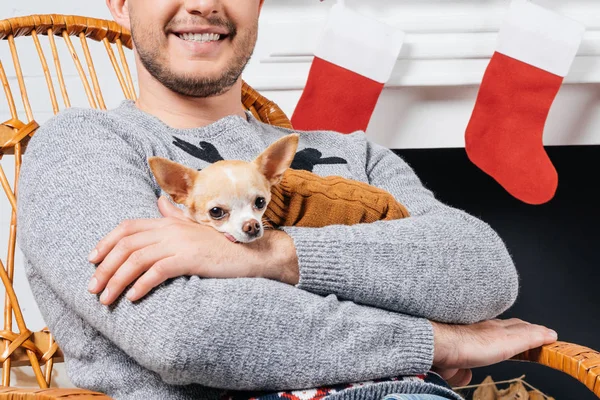 Vista parcial del hombre en mecedora sosteniendo pequeño perro chihuahua en manos en habitación decorada para Navidad - foto de stock