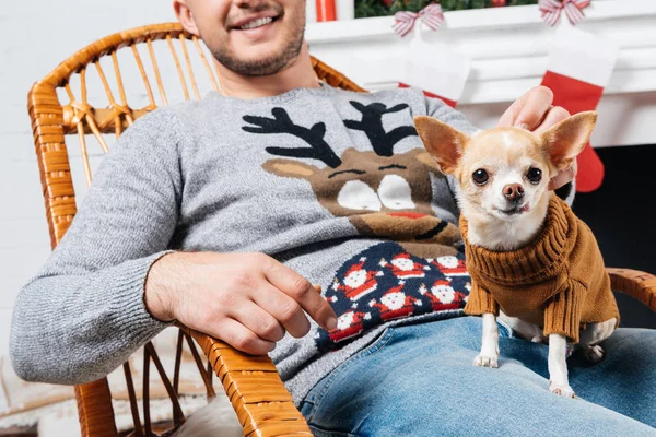 Vista parcial del hombre en mecedora con pequeño perro chihuahua de rodillas en habitación decorada para Navidad - foto de stock