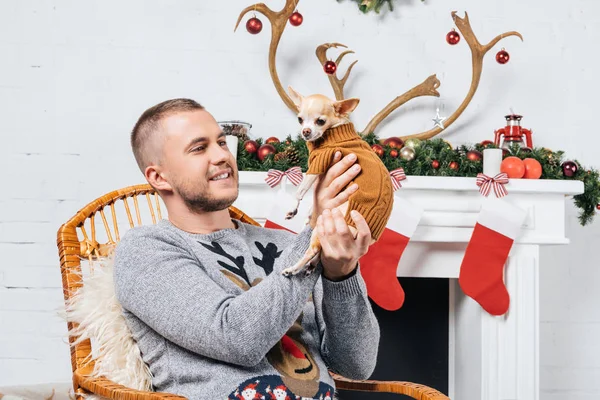 Retrato de hombre sonriente sosteniendo perro chihuahua en habitación decorada para Navidad - foto de stock