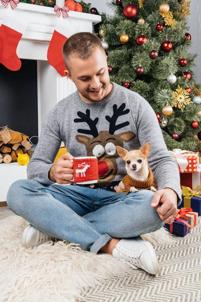 Hombre sonriente con taza de bebida caliente y perro chihuahua cerca en habitación decorada para la celebración de Navidad - foto de stock