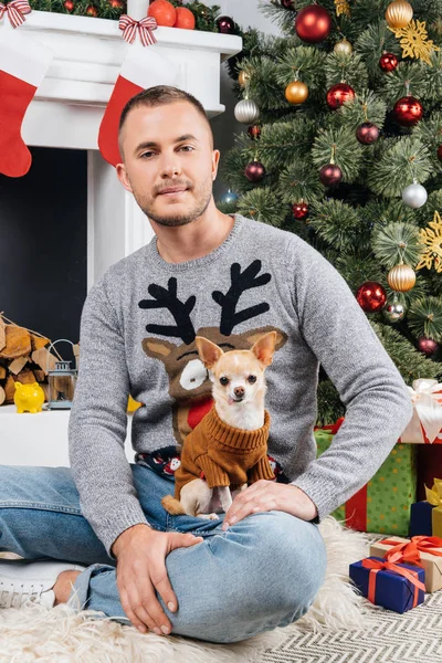 Homem em suéter com veado com pouco cão chihuahua no quarto decorado para o Natal — Fotografia de Stock