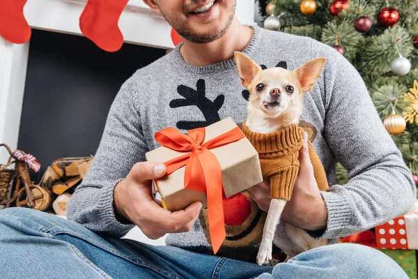 Cropped shot of man in sweater with deer giving present to little chihuahua dog in decorated room for christmas — Stock Photo