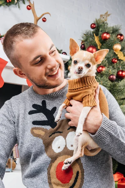 Hombre sonriente en suéter con ciervo con pequeño perro chihuahua en habitación decorada para Navidad - foto de stock