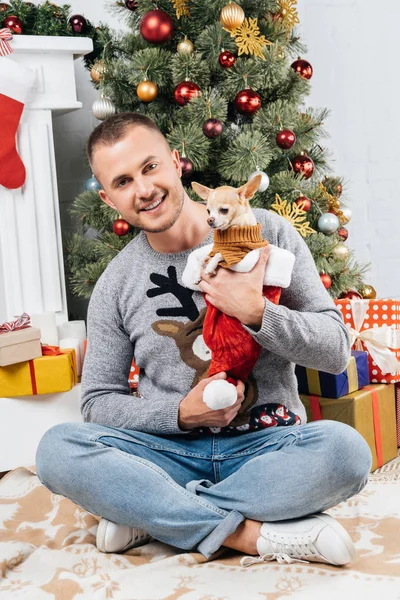 Hombre sonriente sosteniendo adorable perro chihuahua con árbol de navidad y regalos en el fondo - foto de stock