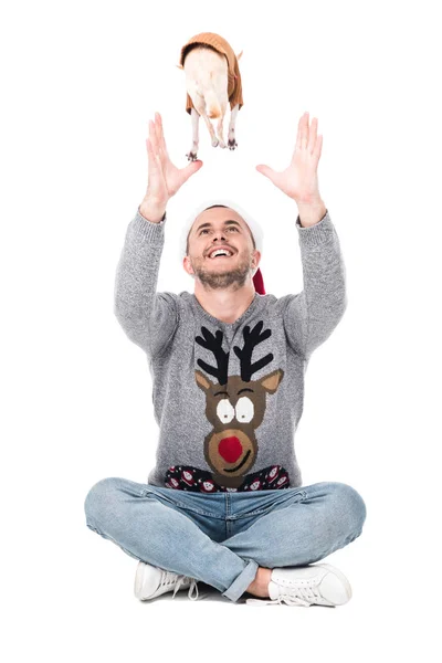 Sonriente hombre en santa claus sombrero divertirse junto con chihuahua perro en suéter aislado en blanco - foto de stock