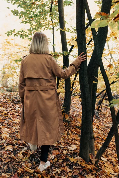 Visão traseira da mulher em pé na floresta de outono e tocando tronco de árvore — Fotografia de Stock